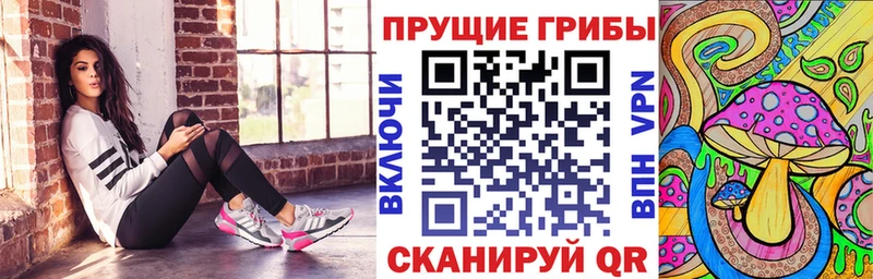 как найти наркотики Отрадная Галлюциногенные грибы Cubensis